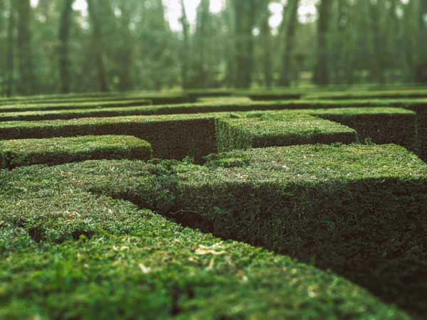 Labyrinth. 