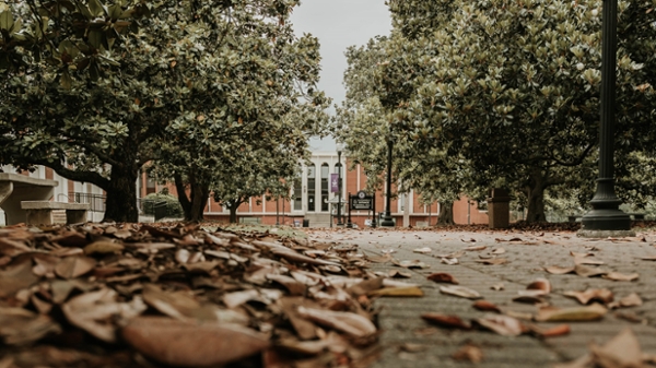 MGA's Cochran Campus with fall foliage. 