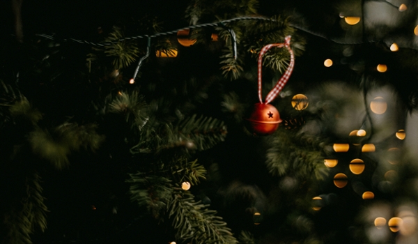 Red ornament hanging from a Christmas tree. 